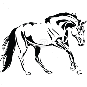 B3042-Decor-animal-Horse-sticker-wall-free