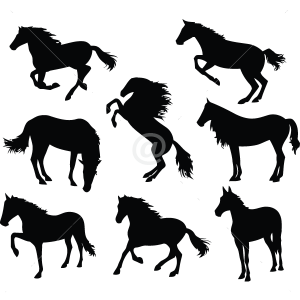 B3050-Decor-animal-Horse-sticker-wall-free