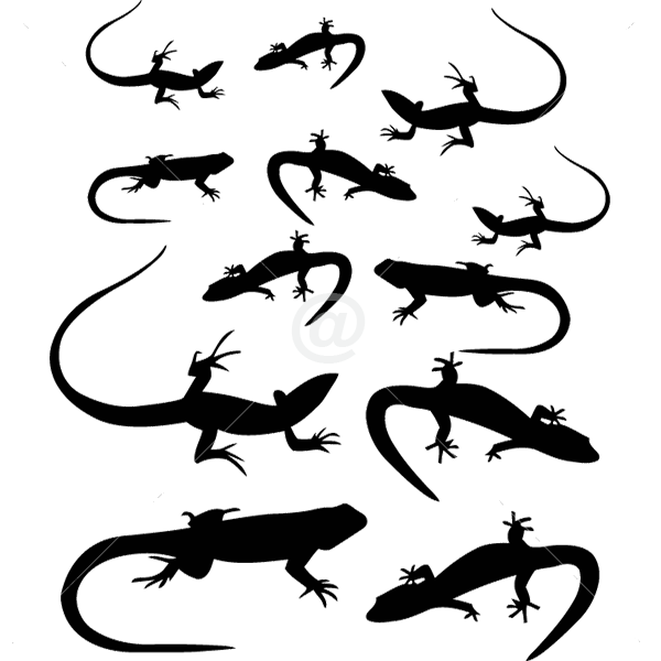 B3051-Decor-animal-lizard-sticker-wall-free