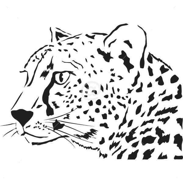 B3056-Decor-animal-tiger-sticker-wall-free